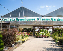 Confreda Greenhouses and Farms | Hope, RI 02831