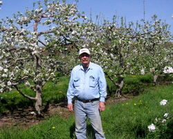 Henry J. Steere Orchard | Greenville, RI 02828