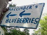 Macomber's Blueberry Farm | Coventry, RI 02816
