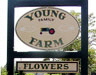 Young Family Farm | Little Compton, RI 02837 